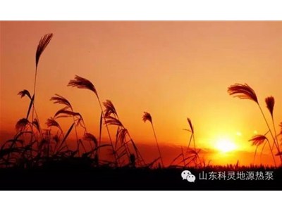 大愛(ài)初秋，醉美科靈