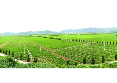 空氣能熱泵助力農(nóng)業(yè)烘干，行業(yè)增收上升扶貧效果明顯